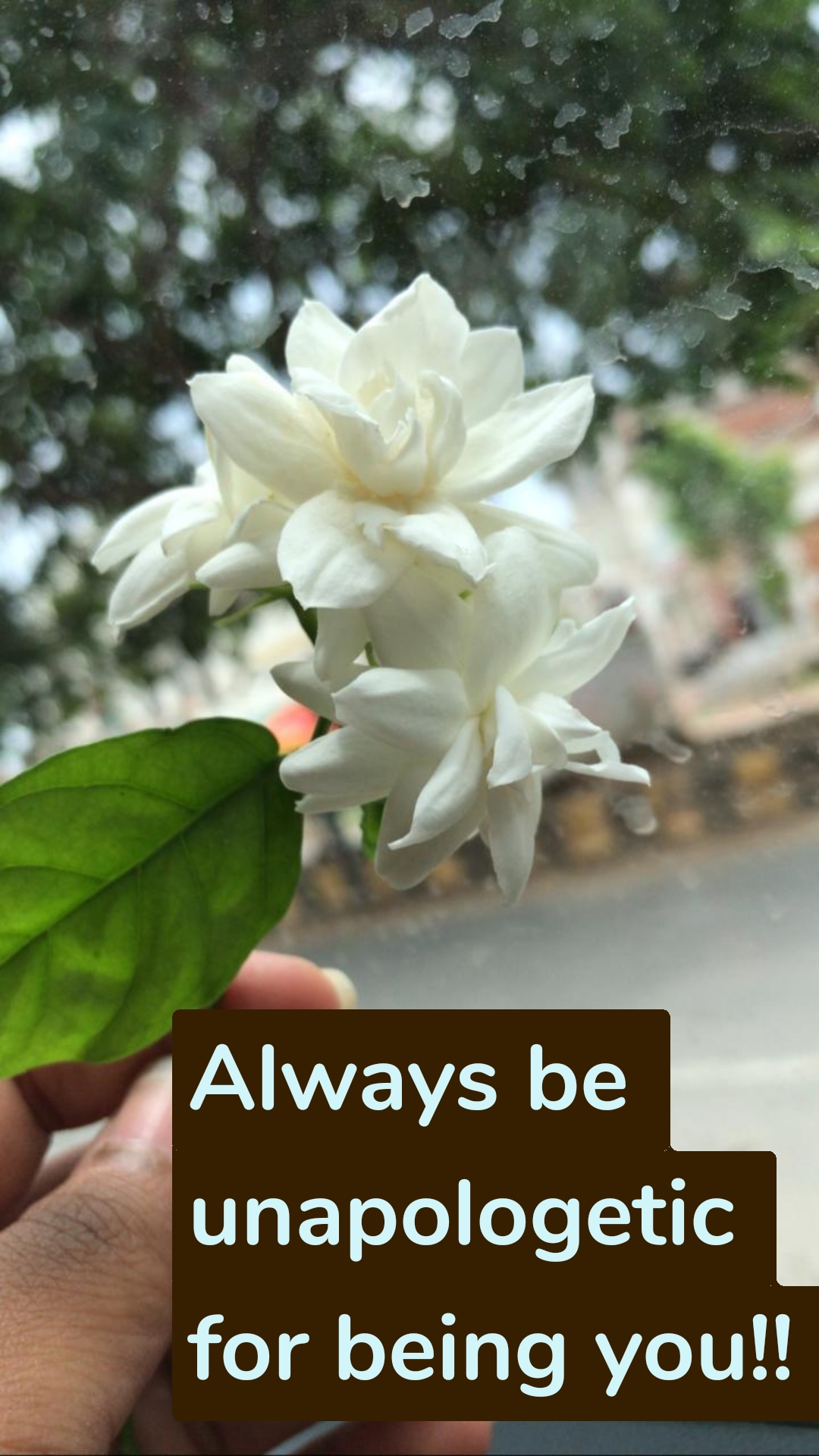 Always be unapologetic for being you!!
